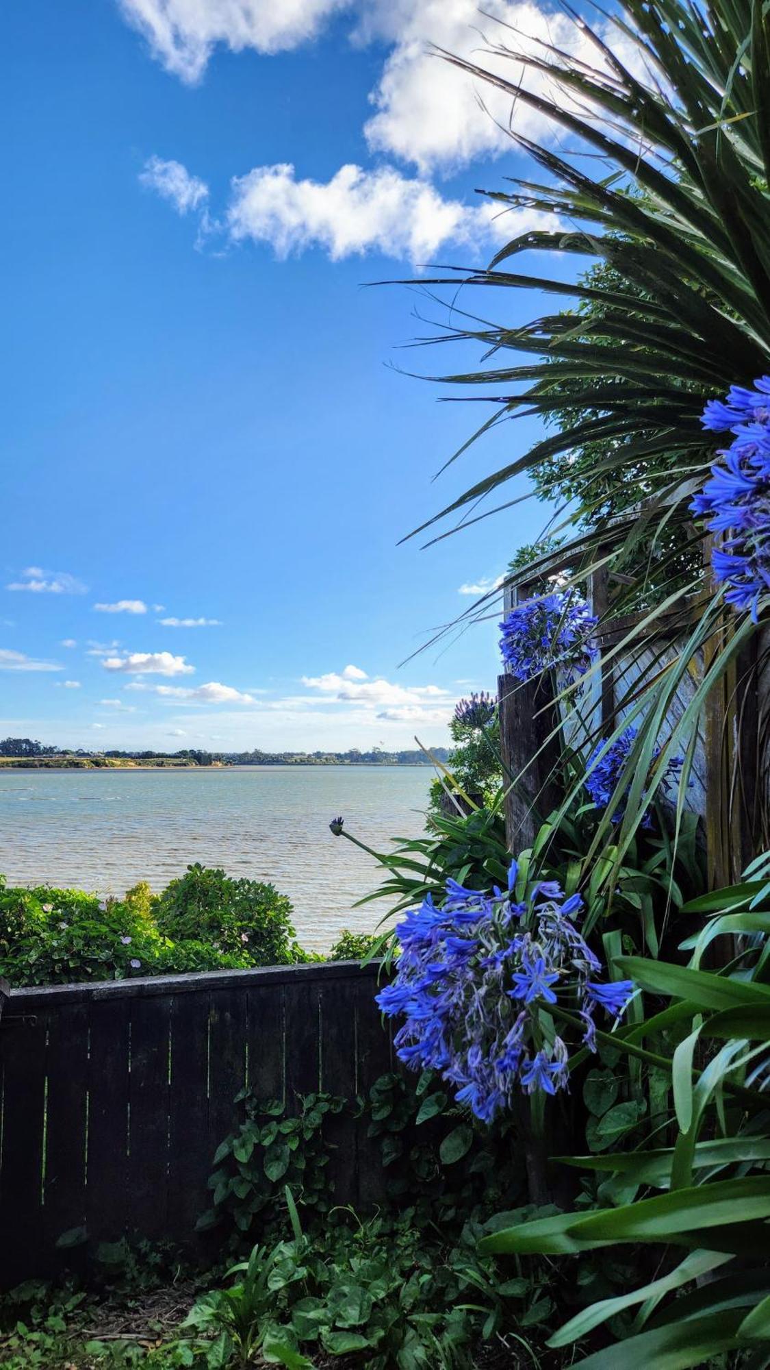 Private Guest Suite Near The Airport 1-4 Guests Auckland Eksteriør bilde